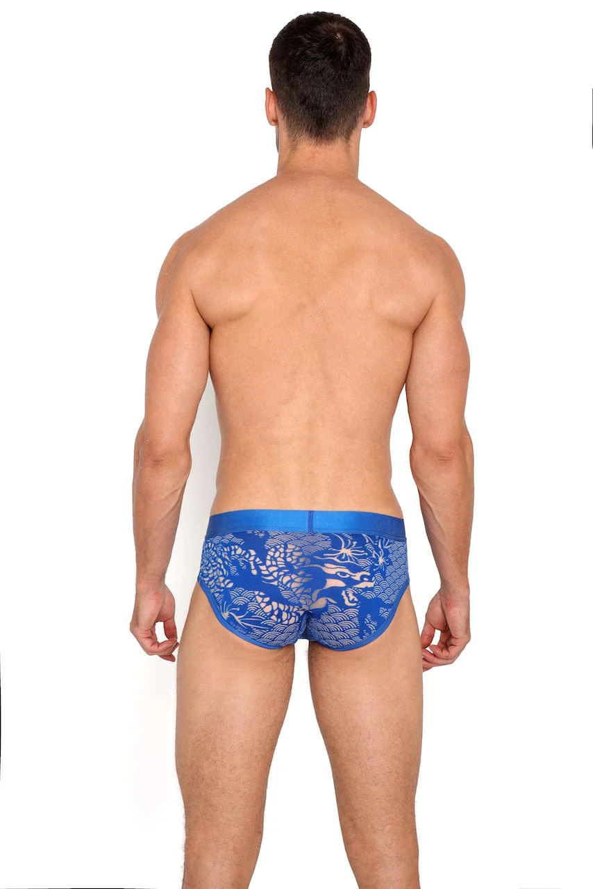 Dragon Burnout Blue Brief - Image 4