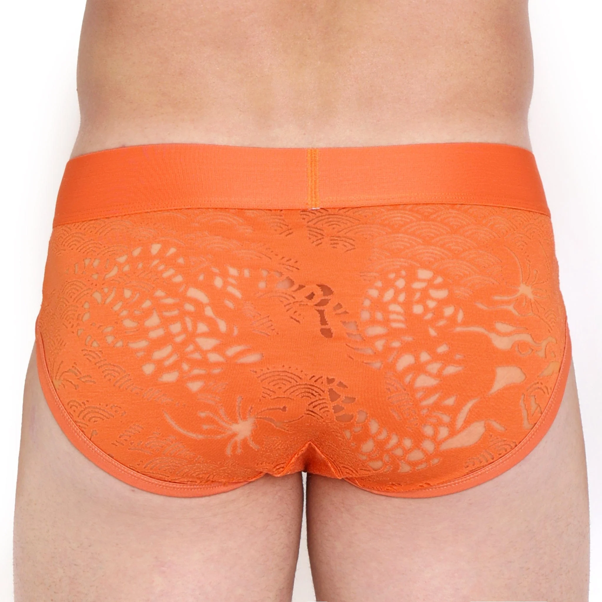 Dragon Burnout Orange Brief - Image 3