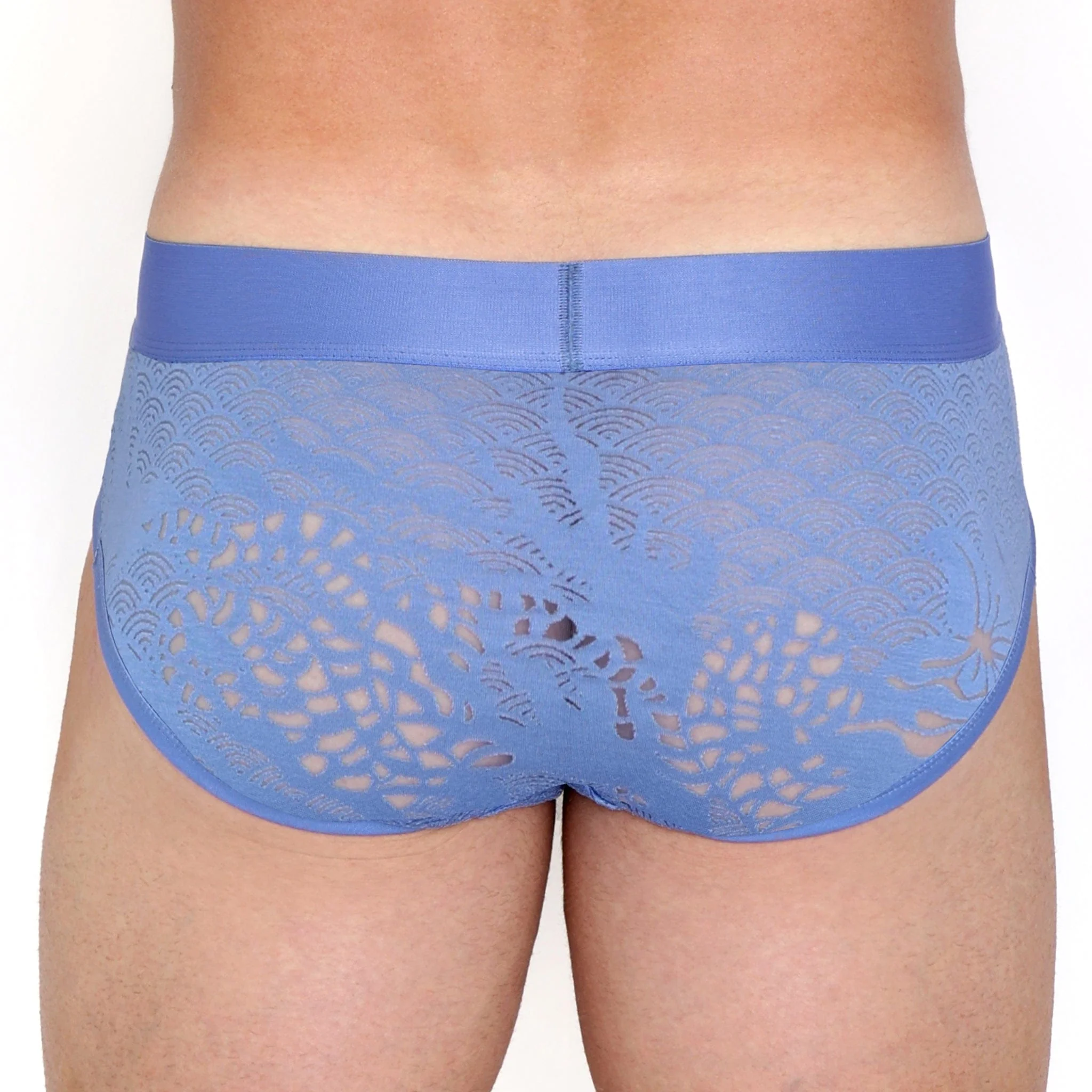 Dragon Burnout Periwinkle Brief - Image 3