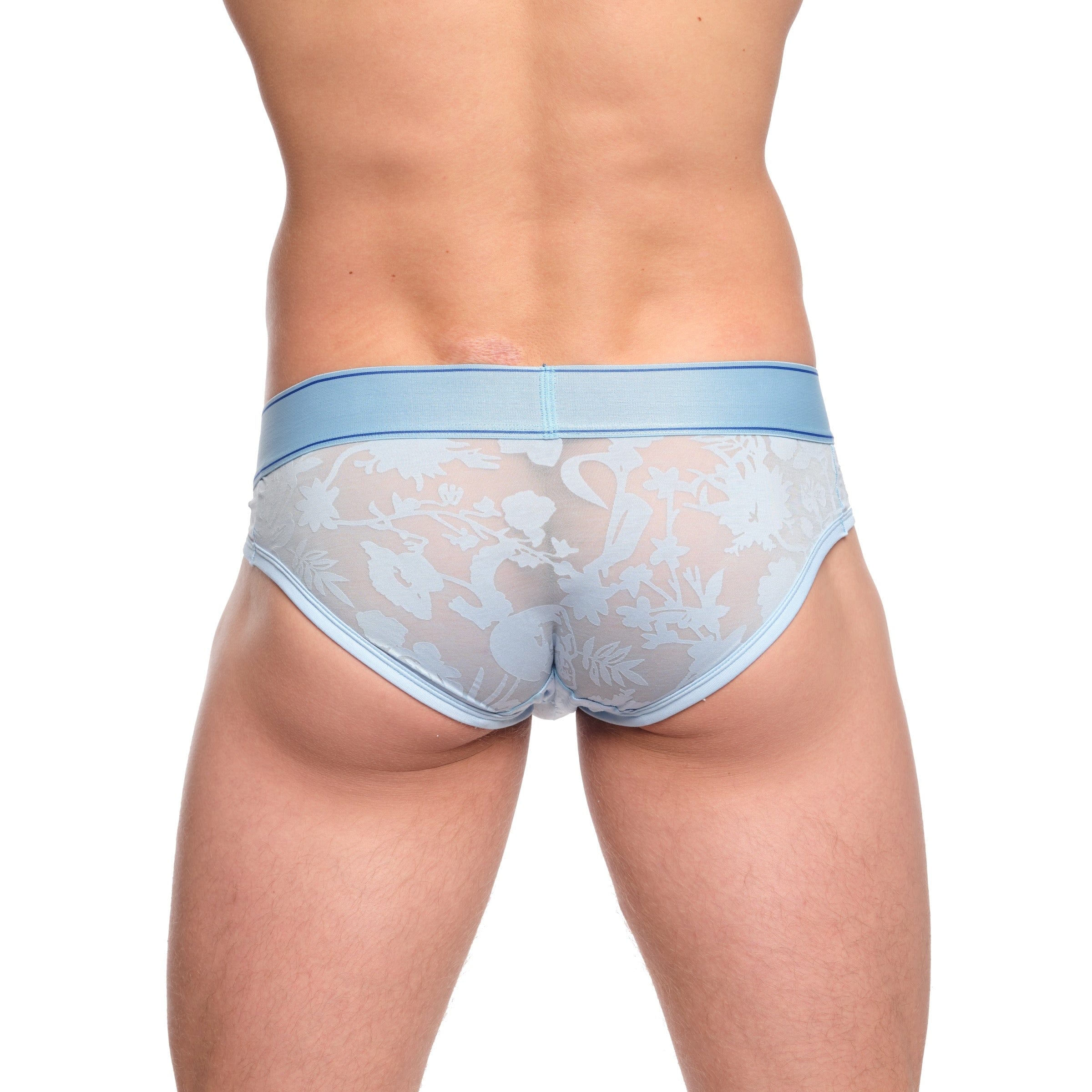 Dutch Floral Burnout Brief Sky - Image 4