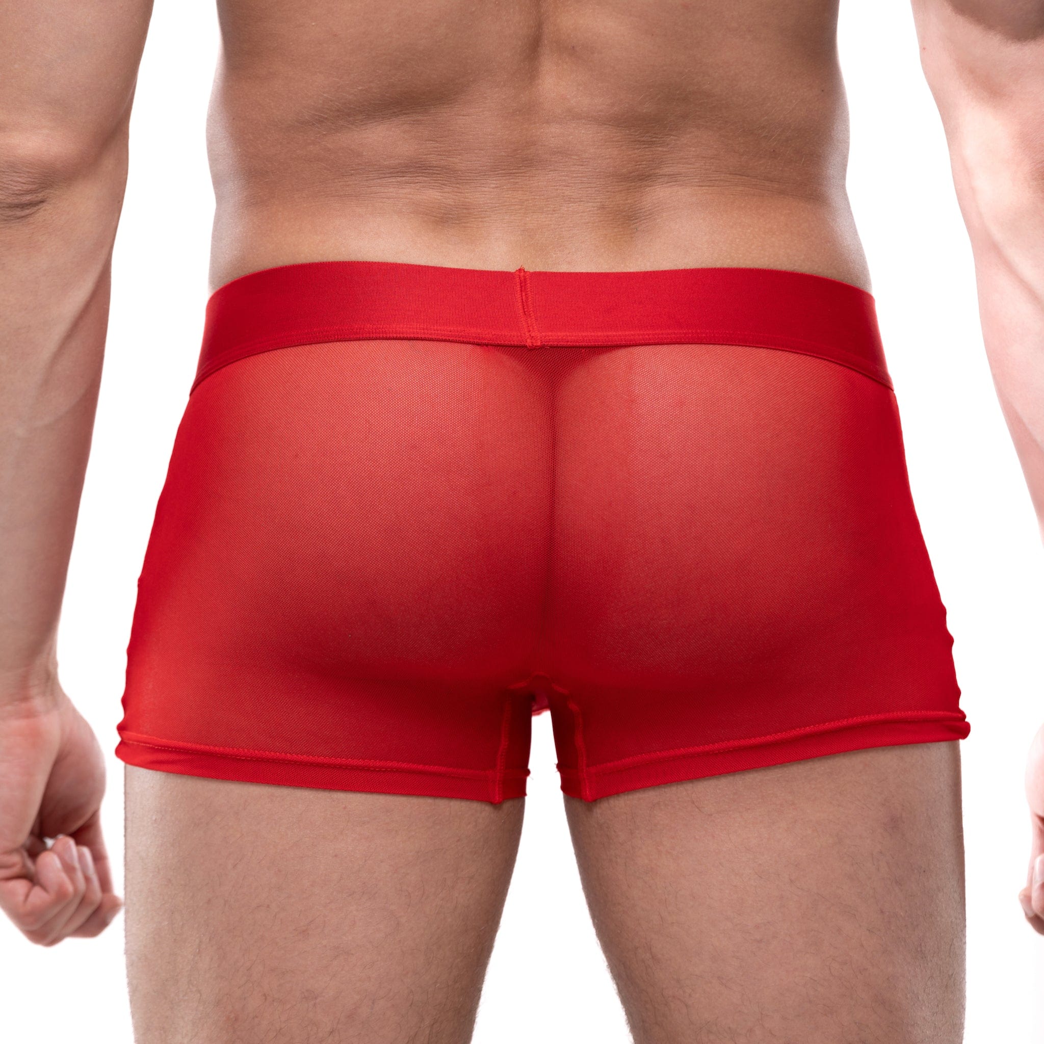 Just The Bones Sheer Trunk Red - Image 4