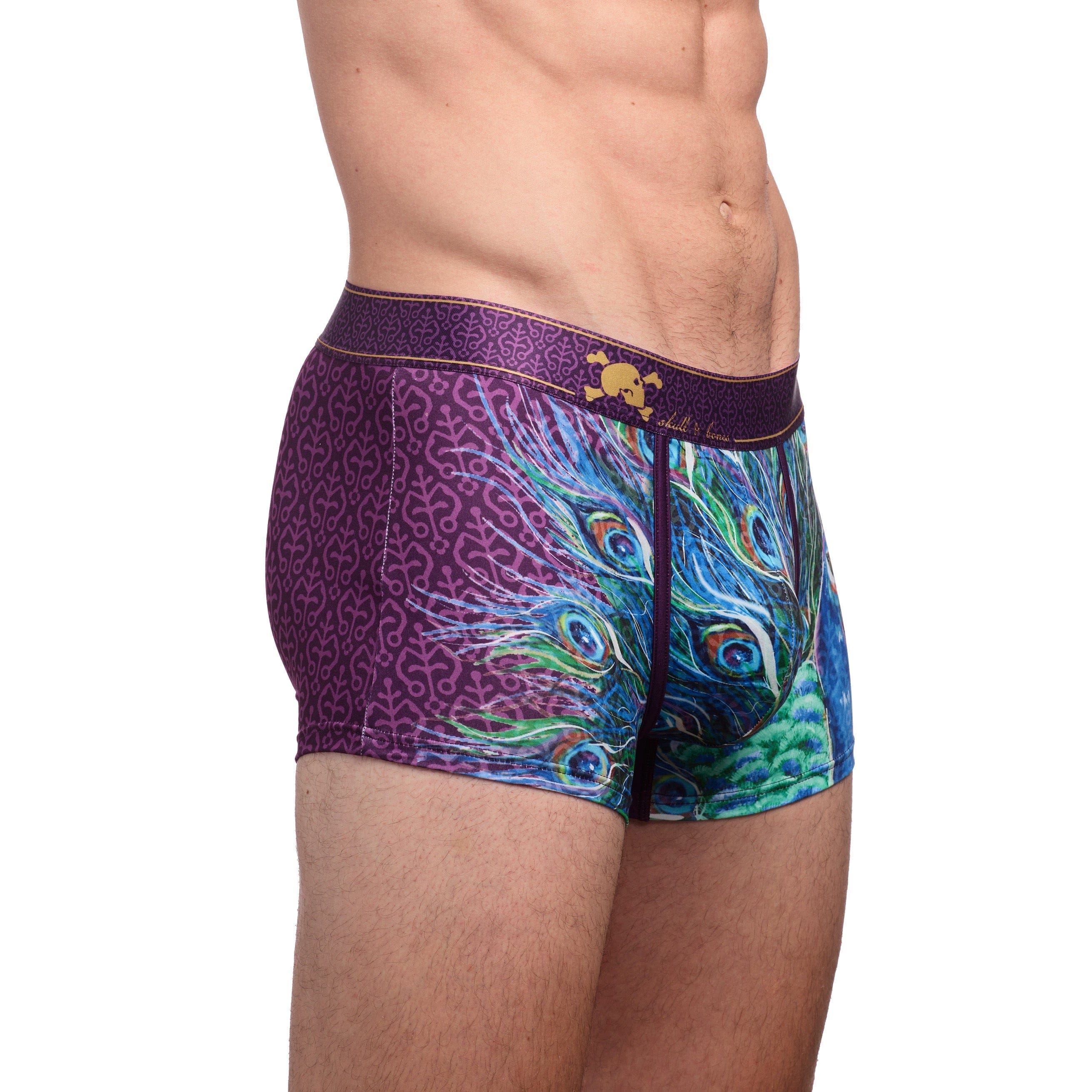 Peacock Trunk - Image 3