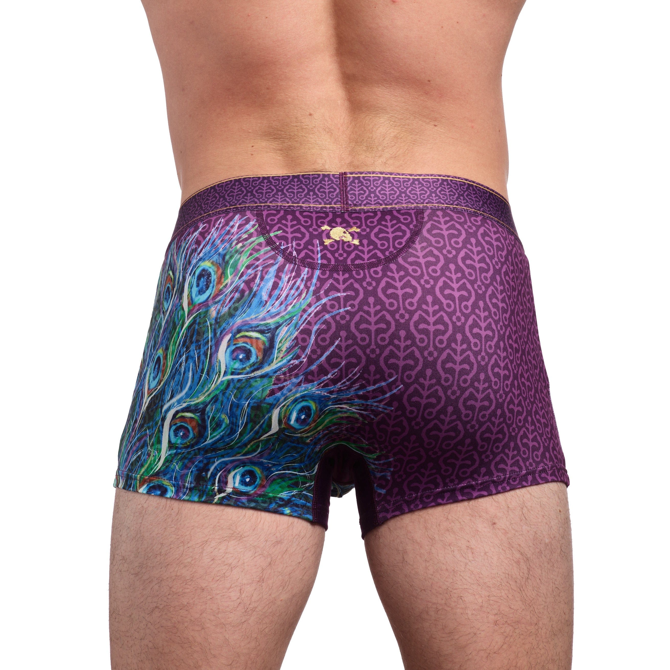 Peacock Trunk - Image 4